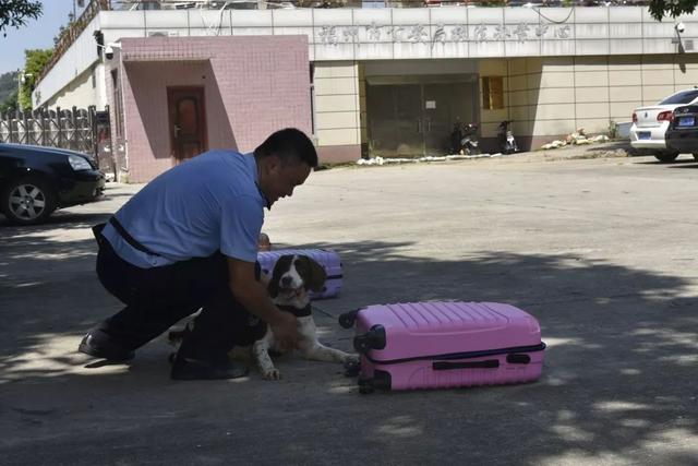 警犬训导员十二时辰，带您看看福州这位辅警的一天！