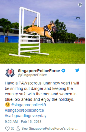 汪汪汪！我是守卫新加坡安全的民防工作犬！