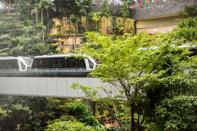 新加坡把“森林花园”搬进机场，里面还有世界最大的室内瀑布