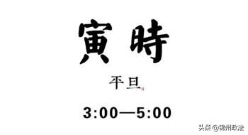 警犬訓導員和小夥伴的十二時辰，原來是這個樣子！