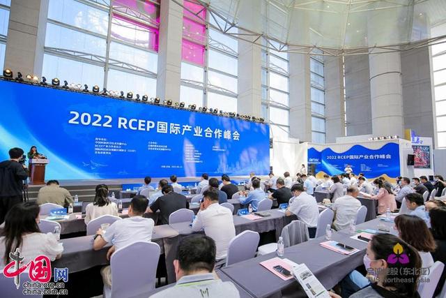 打造區域協同科創共同體，2022RCEP國際産業合作峰會在青島召開