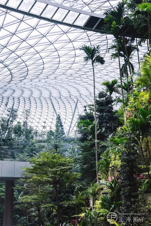 世界奇觀！耗資85億，新加坡把森林、瀑布搬進機場。搶先看實拍圖