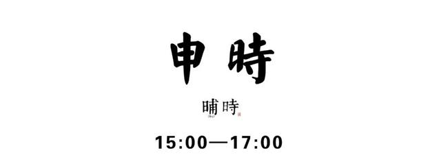 警犬训导员十二时辰，带您看看福州这位辅警的一天！