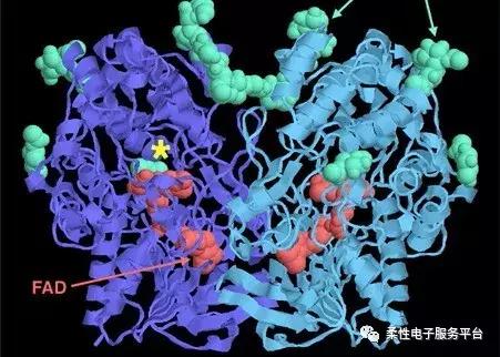 什麽是生物傳感器？