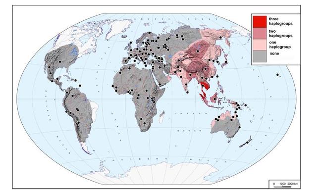 4.5万-3.0万年古DNA揭示：现代欧亚人的父系均起源于东亚南部