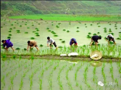 新加坡地下室变身水下花园宫殿