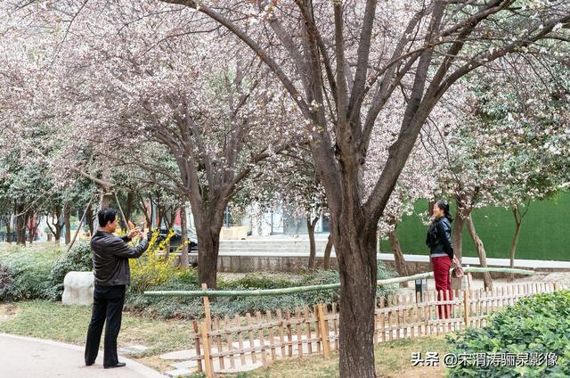 沿着风景道路、沟渠等自然和人工廊道建设，可供游人和骑车者徜徉