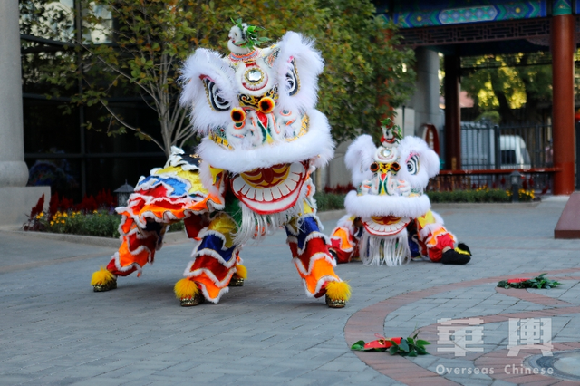 侨乡非遗：以“武”会世界朋友