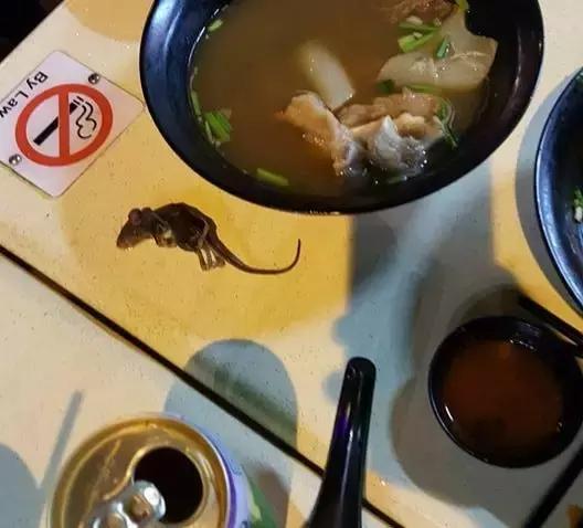 新加坡餐厅自助台现20厘米老鼠！旋转跳跃不闭眼~