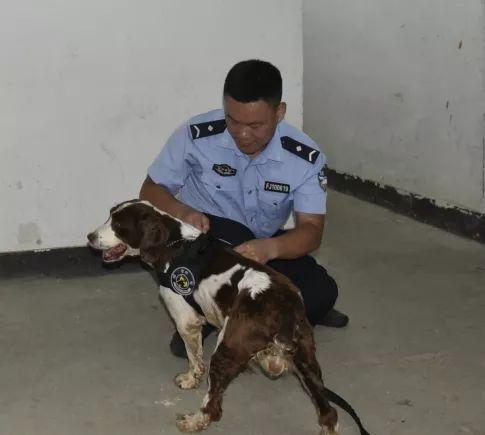 警犬训导员十二时辰，带您看看福州这位辅警的一天！