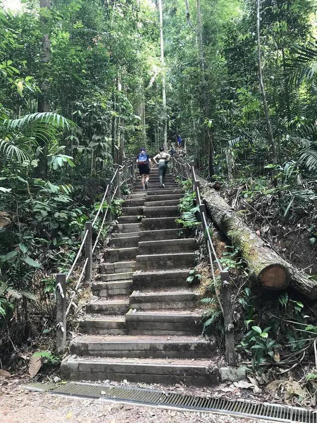 登上新加坡的最高峰