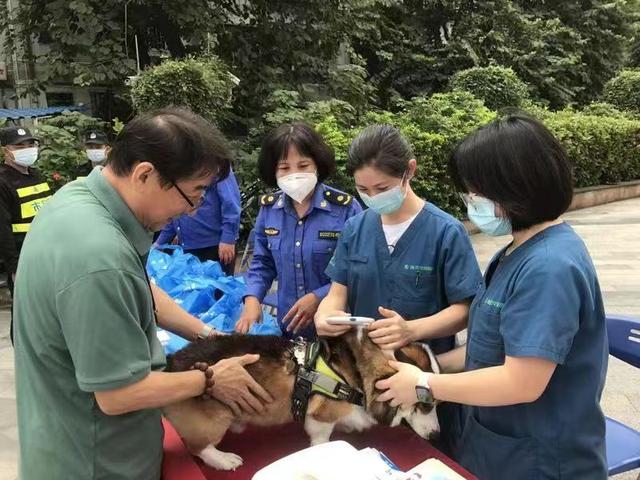 笃行·南山先锋｜城管局党组：“党建红”“城管蓝”“生态绿”共绘美丽南山新画卷