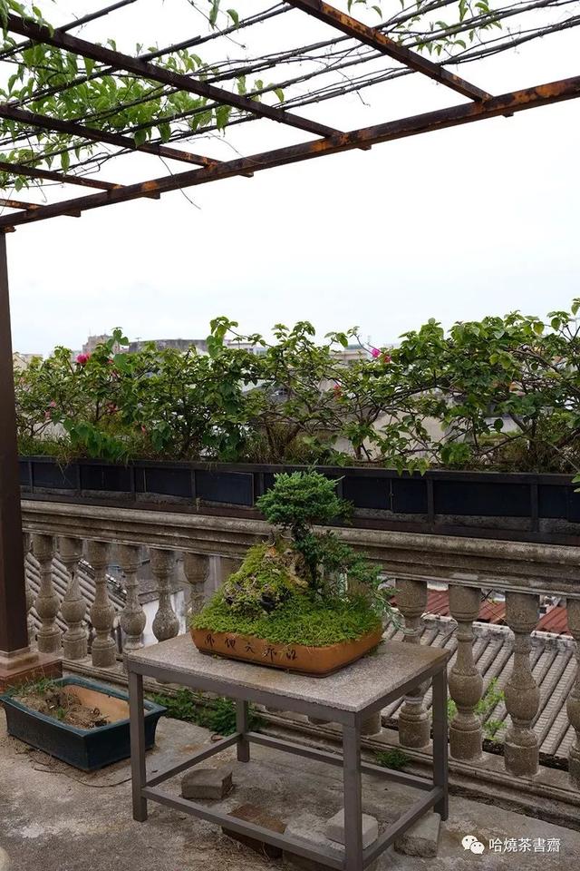 澄海东湖某祖祠附近，竟藏着一座新加坡杂货大亨的故园别墅