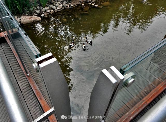 福州有条获国际建筑大奖的空中森林步道