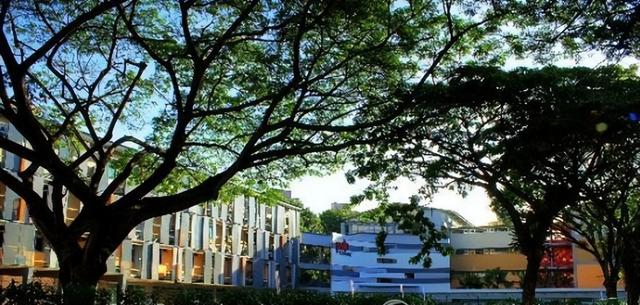 海外名校直通—新加坡PSB学院
