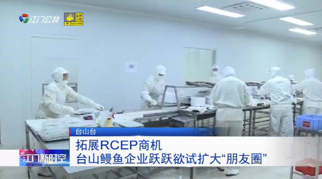 拓展RCEP商机 台山鳗鱼企业跃跃欲试扩大“朋友圈”