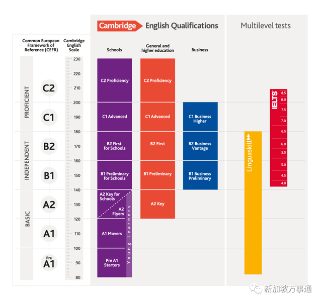 AEIS重大改革：小学取消英语考试，看CEQ成绩