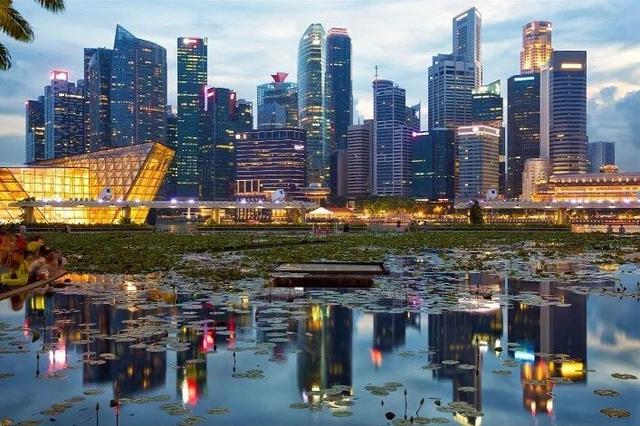 新加坡995，月薪4萬 vs 中國香港淩晨下班，月薪8萬，怎麽選？