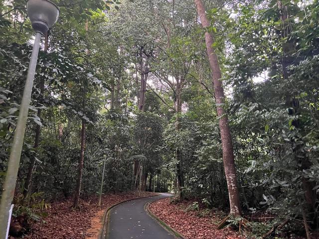 來新加坡三個月，說一說新加坡的公園