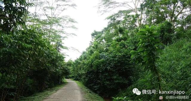 新加坡徒步热门地，竟是马来西亚的火车站！