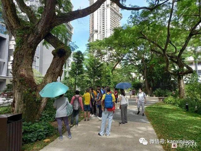 新加坡城市徒步路线推荐，打卡网红组屋