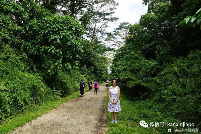 新加坡徒步热门地，竟是马来西亚的火车站！