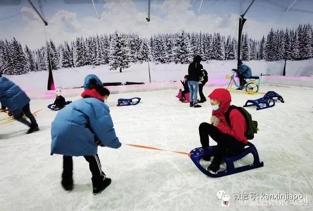 “在没有冬季的新加坡，我却在这里与孩子在雪地里玩耍”