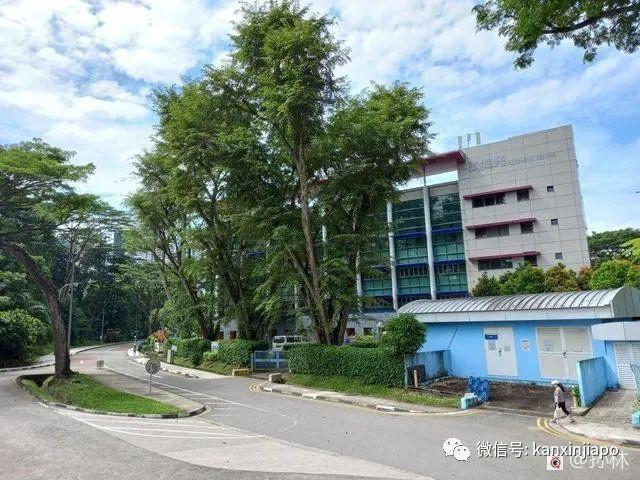 新加坡城市徒步路线推荐，打卡网红组屋