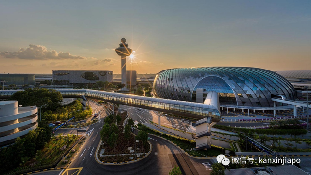 又一国宣布中国旅客需落地检，新加坡：没必要！防疫转变为中国经济恢复创造条件