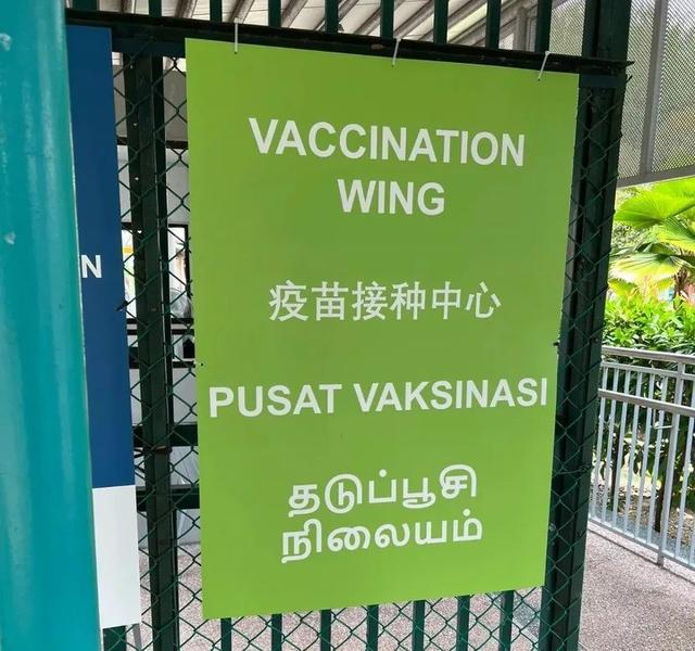 在新加坡，“沒打疫苗的反而是重症最少的”