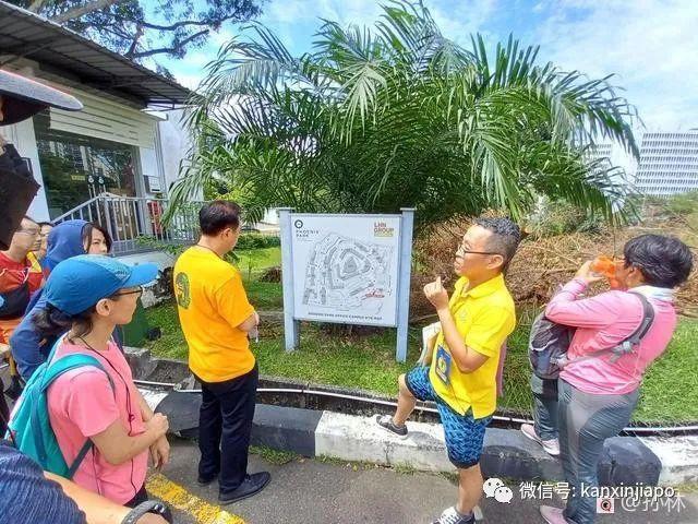 新加坡城市徒步路线推荐，打卡网红组屋