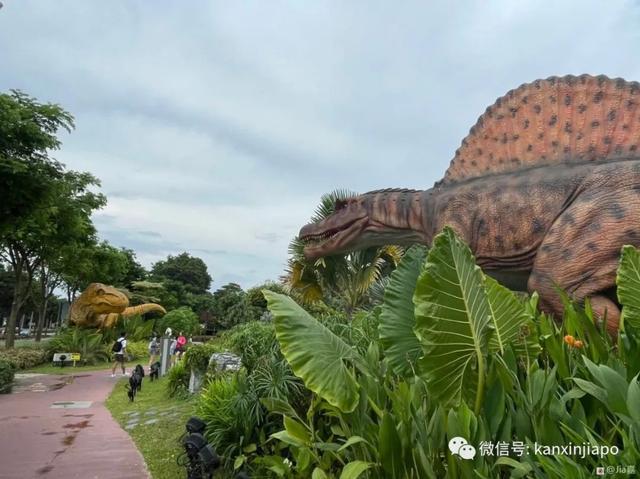 新加坡带娃优选好地，学知识、逛公园，休闲学习全不落~