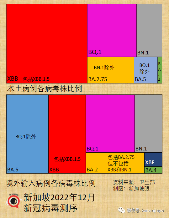 独家｜问候语“阳了没”早已out了！新加坡现在每四人就有个“王重阳”