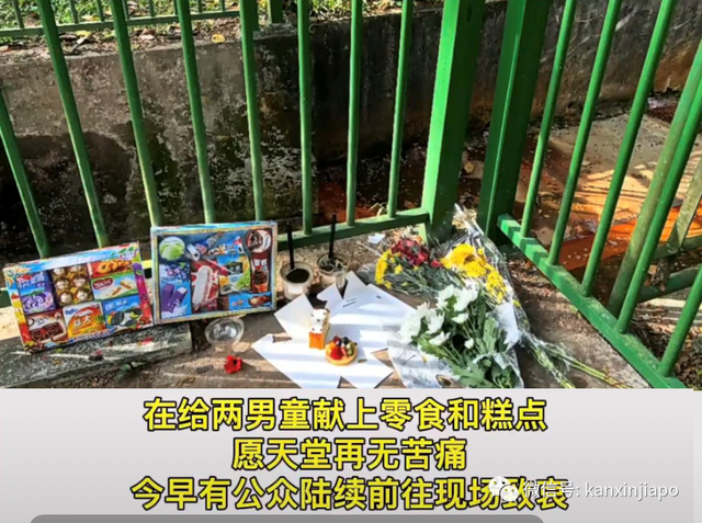 新加坡多动症孪生子命案，生父涉嫌杀子，法院爆出更多细节