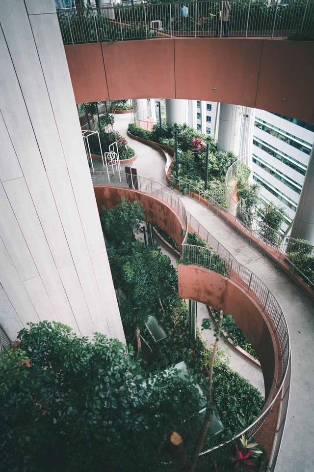 新加坡：“居者有其屋”的花园城市，非一日建成