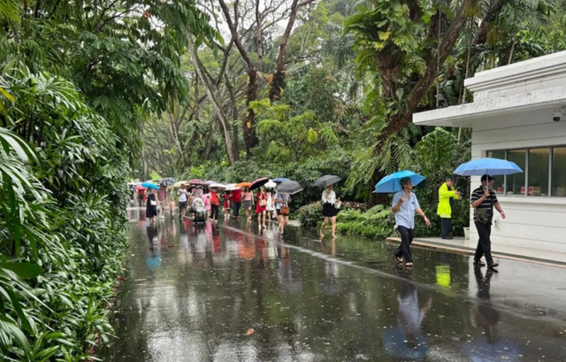 上秒暴晒，下秒暴雨，加上多日雾霾，新加坡的天气到底怎么了？