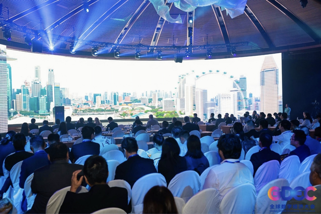 2023全球数字经济大会新加坡分会场数字经济高峰论坛成功举办