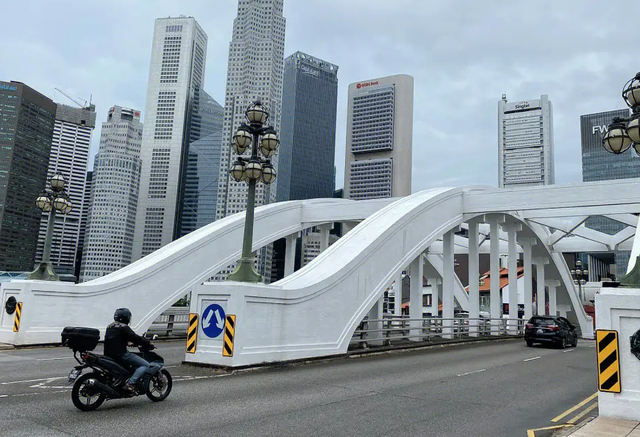 作爲發達國家的新加坡，爲何會面臨人口問題？主要原因有哪些？
