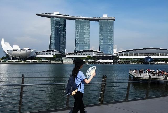 作爲發達國家的新加坡，爲何會面臨人口問題？主要原因有哪些？