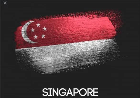 新加坡人的明智回答：为什么新加坡不在中国和美国之间选边站？