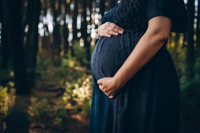 新加坡不是中国单身女性冷冻卵子最有利的目的地