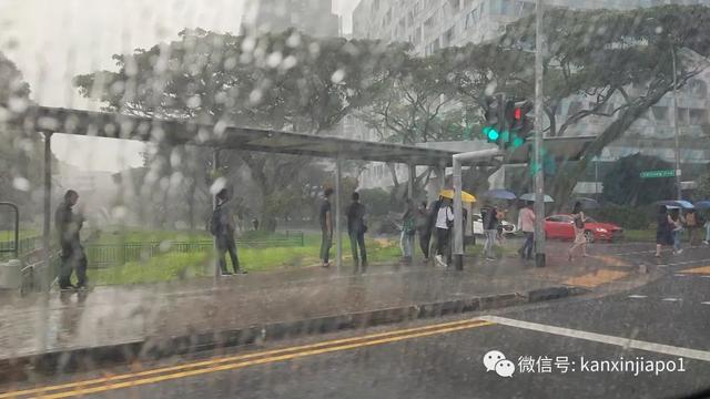 反常！新加坡最热的7月却连续暴雨，气温直降至22°C