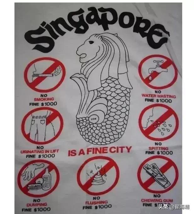 初到新加坡有感（一）：弹丸小国新加坡