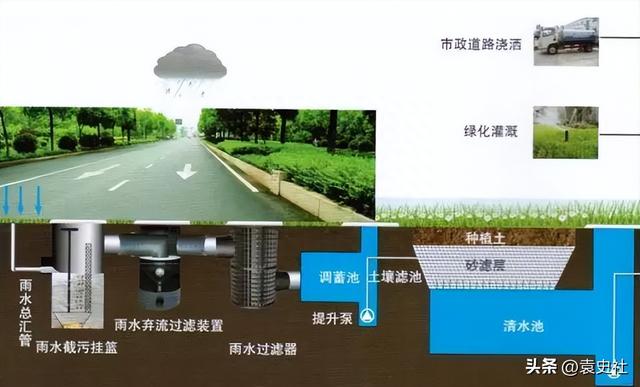 30个你不知道的新加坡冷知识，看完真的醍醐灌顶！