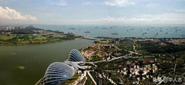 新加坡严查此类华人开户：这世界没有绝对的“自由港”