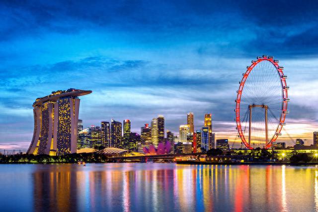新加坡不同企业结构的比较