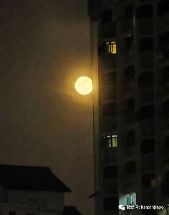 别错过！新加坡中秋节偶遇今年最后一次超级月亮