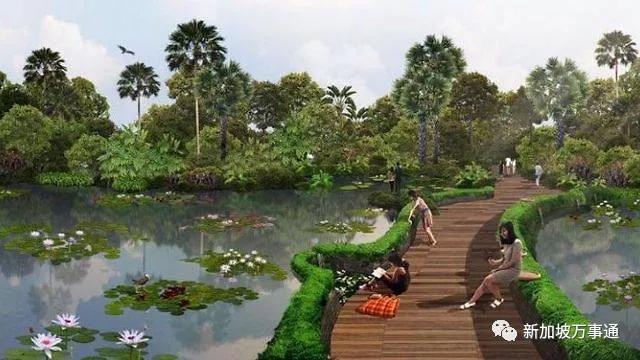 新加坡即将开放一个绝美新公园，休闲、娱乐、遛娃好去处～