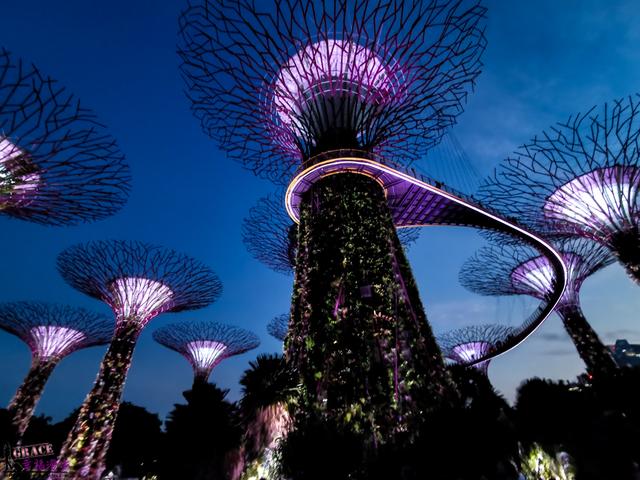 新加坡五天四夜旅游攻略！住宿、票劵、景点和餐厅最全攻略整理