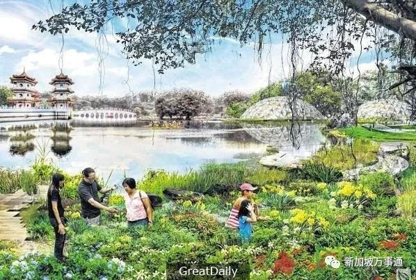 新加坡即将开放一个绝美新公园，休闲、娱乐、遛娃好去处～